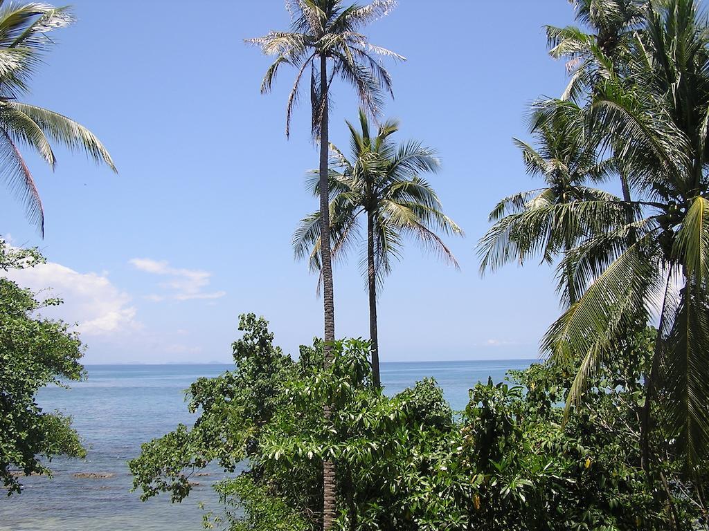 North Borneo Biostation Resort Kudat Kültér fotó