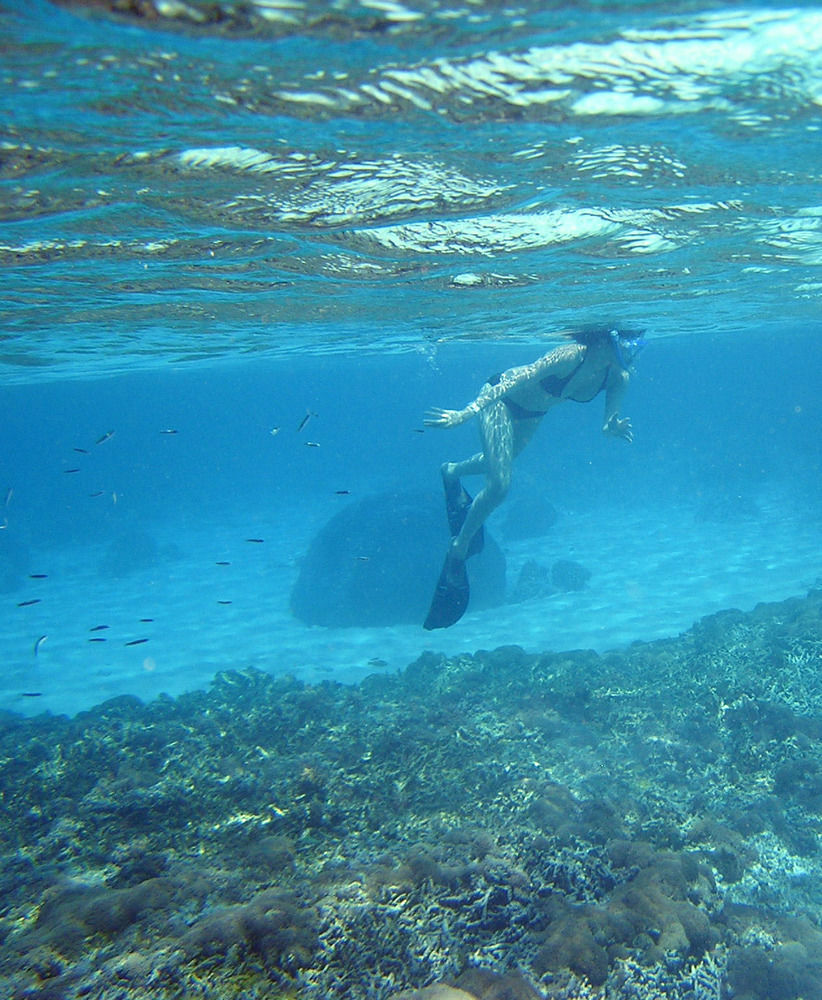 North Borneo Biostation Resort Kudat Kültér fotó