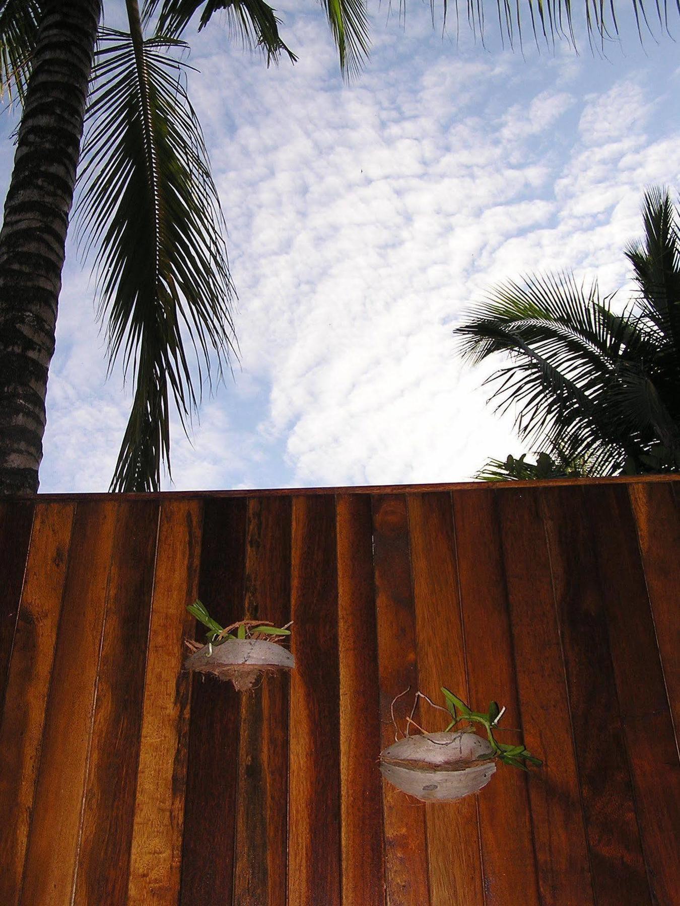 North Borneo Biostation Resort Kudat Kültér fotó